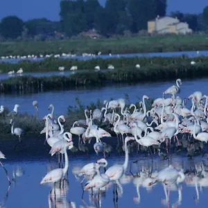 https://corte-spina.emilia-romagnahotels.net