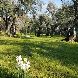 https://antico-uliveto.it-tuscanyhotel.com
